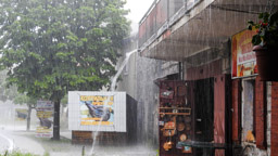 Njeguši - GPS: 42°25'41